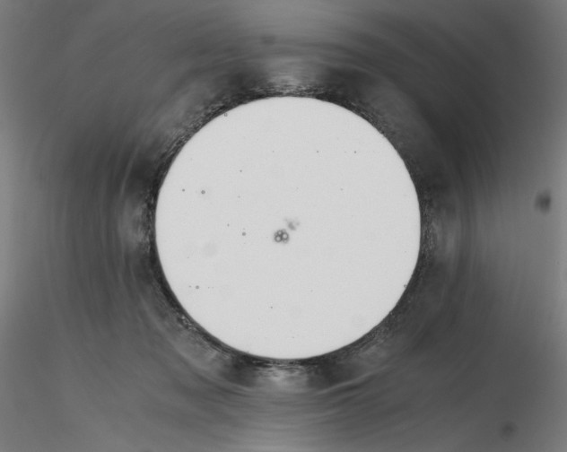 X0000116260317200912291502