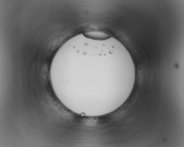 X0000116260318200912291502