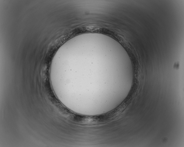 X0000116260319200912291502