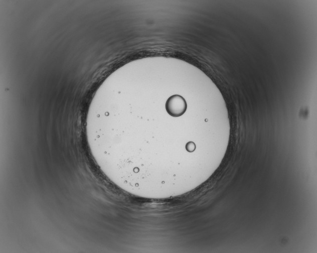 X0000116260320200912291502