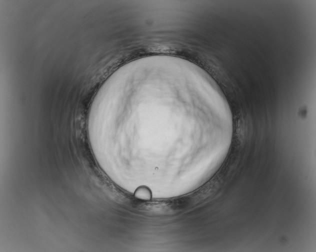 X0000116260322200912291502