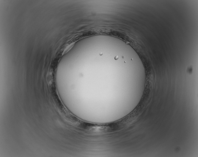 X0000116260323200912291502