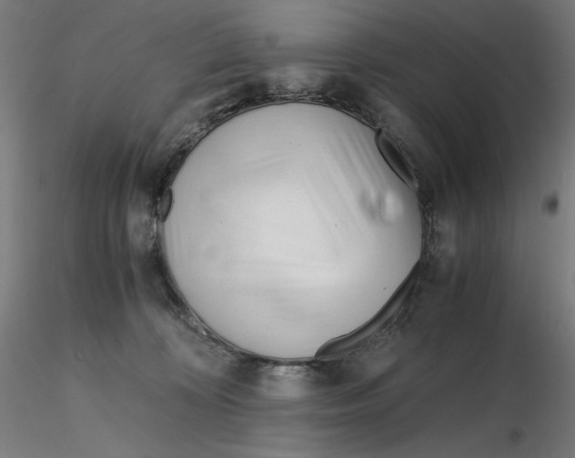 X0000116260324200912291502