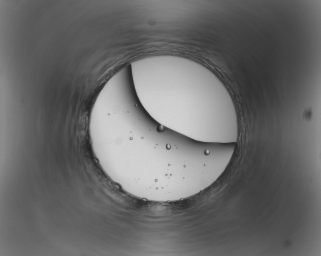 X0000116260325200912291502