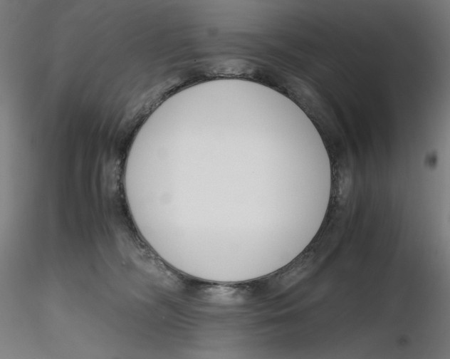 X0000116260326200912291502