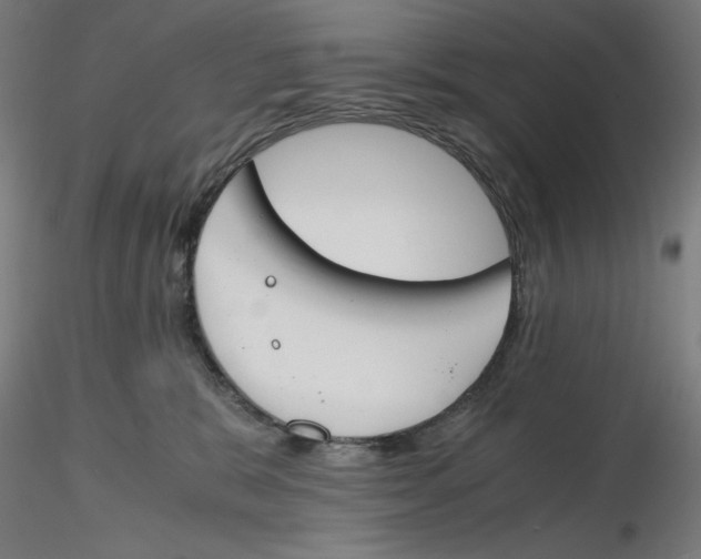 X0000116260327200912291502