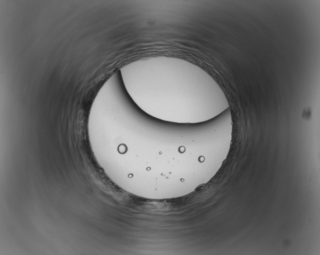 X0000116260328200912291502