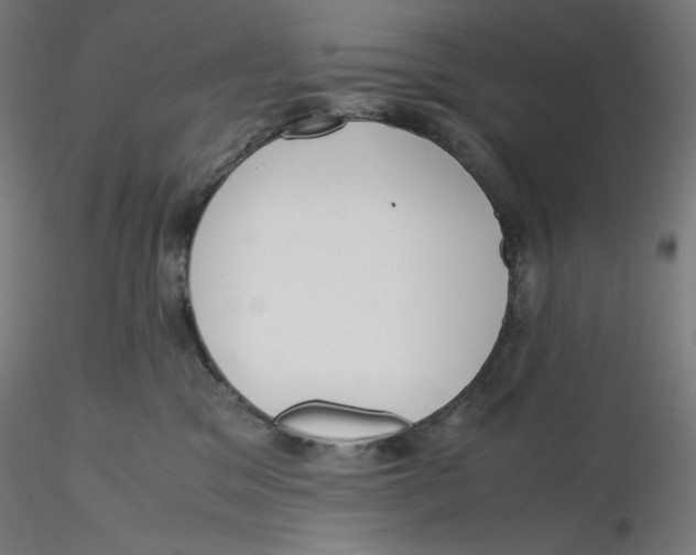 X0000116260329200912291502