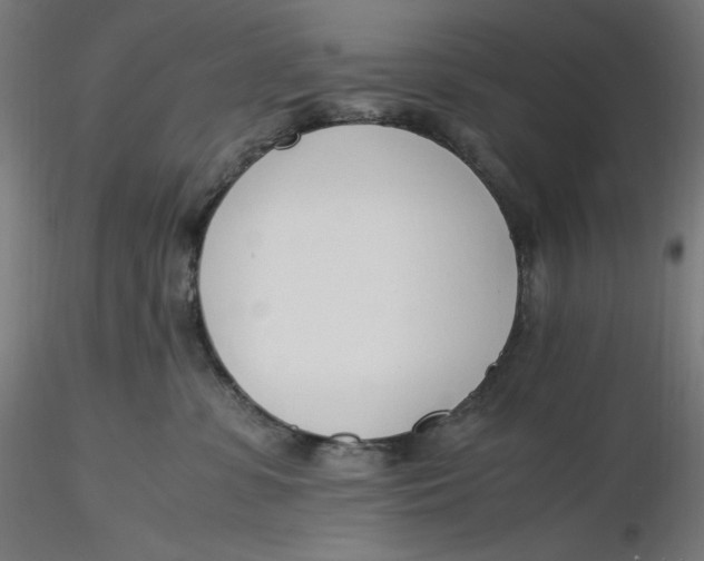 X0000116260331200912291502
