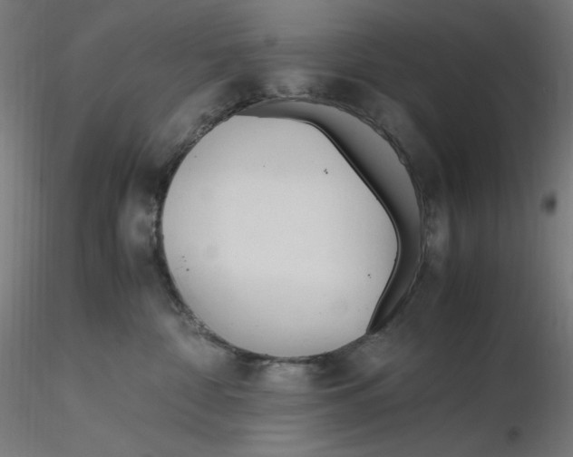 X0000116260332200912291502