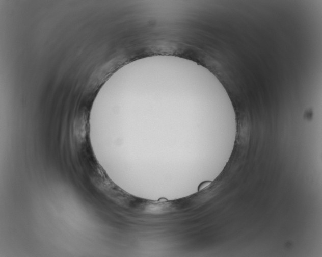 X0000116260334200912291502