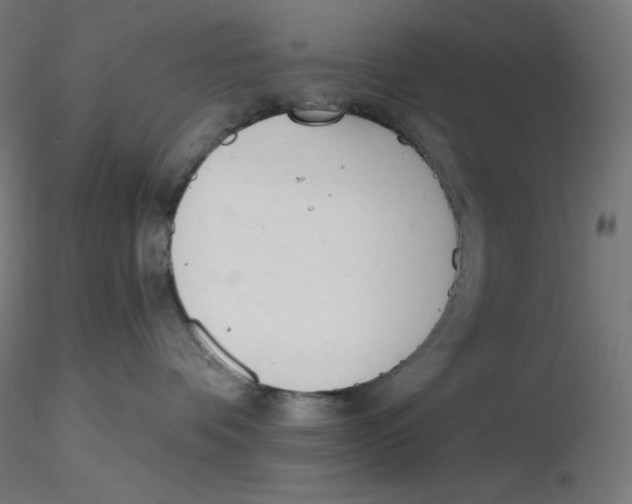 X0000116260336200912291502