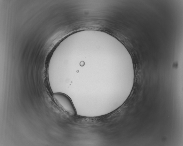 X0000116260338200912291501