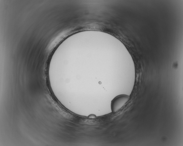 X0000116260341200912291501