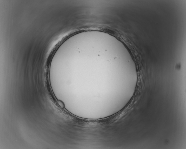 X0000116260342200912291501