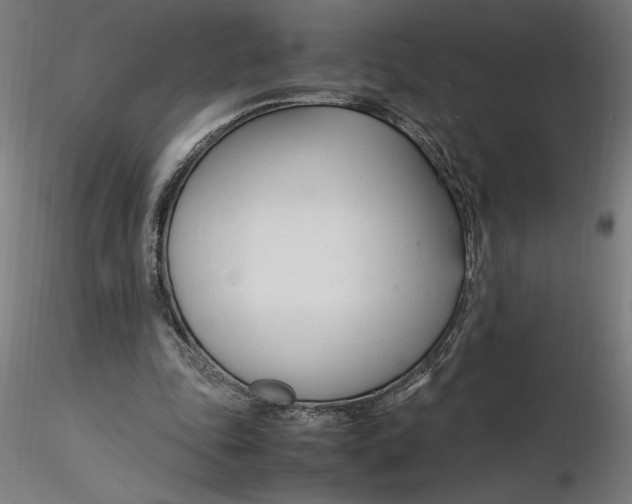 X0000116260343200912291501