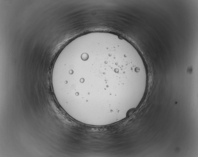 X0000116260345200912291501