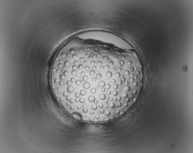 X0000116260346200912291501