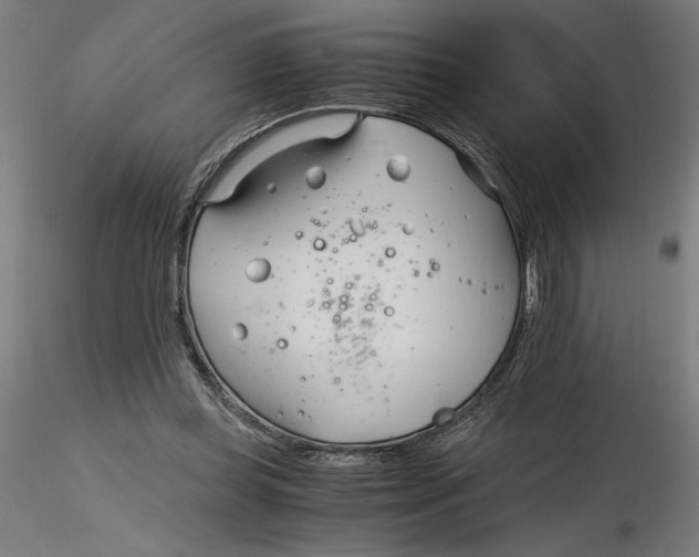 X0000116260349200912291501