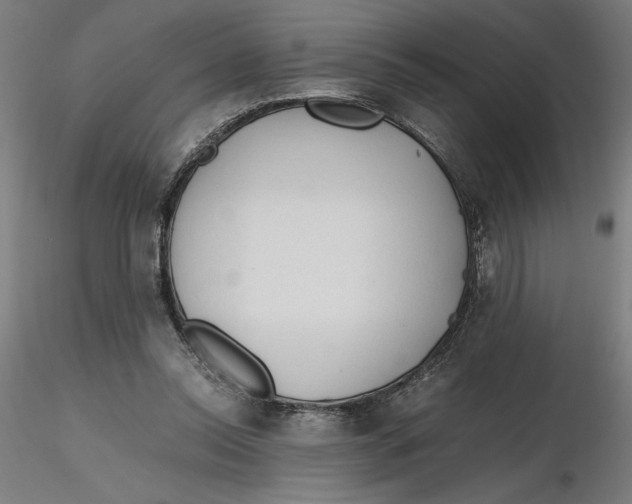 X0000116260350200912291501
