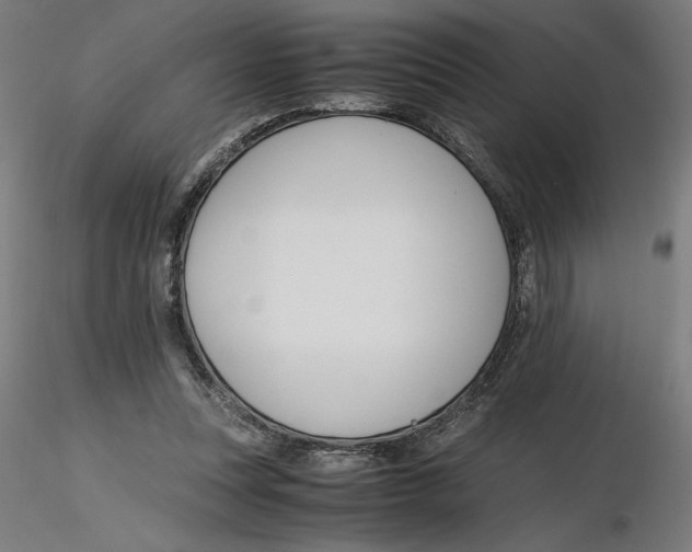 X0000116260351200912291501