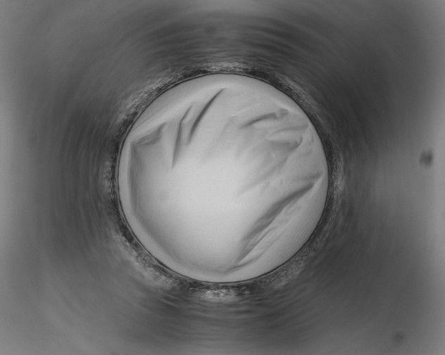 X0000116260353200912291501