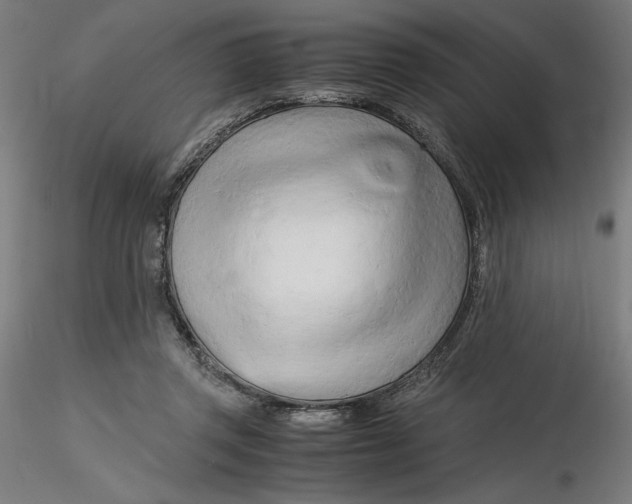 X0000116260357200912291501