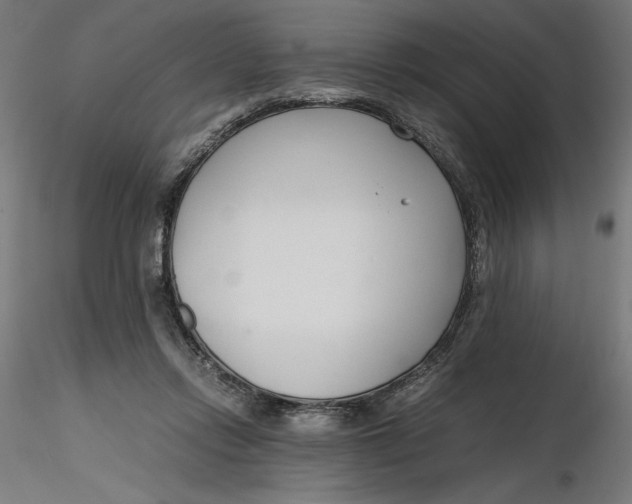 X0000116260358200912291501