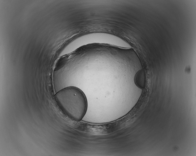 X0000116260359200912291501