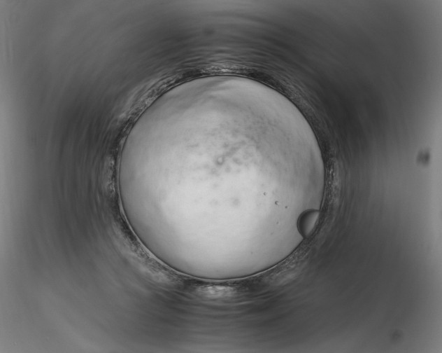 X0000116260361200912291501
