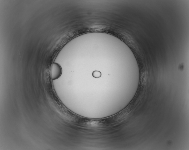 X0000116260365200912291501