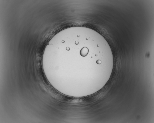 X0000116260366200912291501
