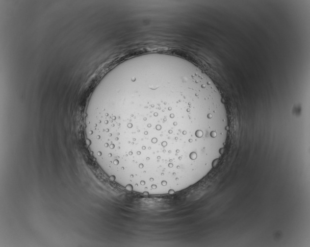 X0000116260367200912291501