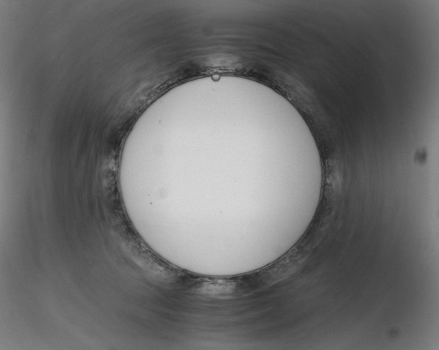X0000116260369200912291501