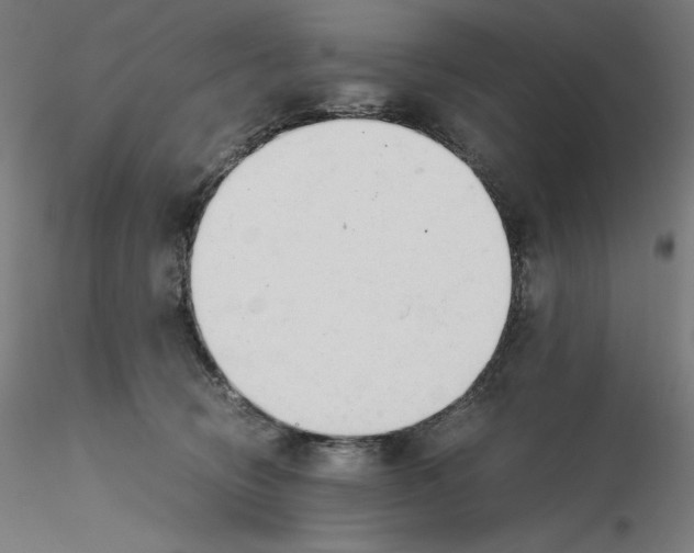 X0000116260370200912291501