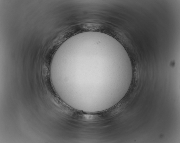 X0000116260371200912291501