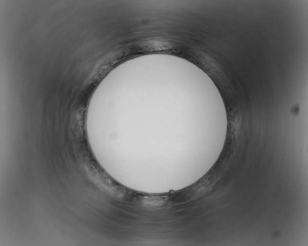 X0000116260373200912291501