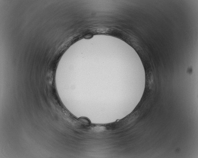 X0000116260374200912291501