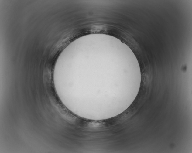 X0000116260375200912291501