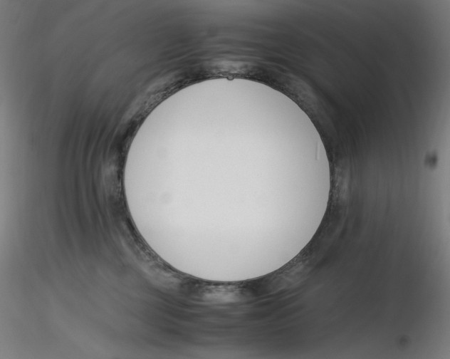 X0000116260377200912291501
