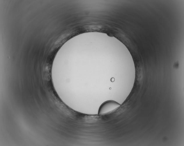 X0000116260378200912291501