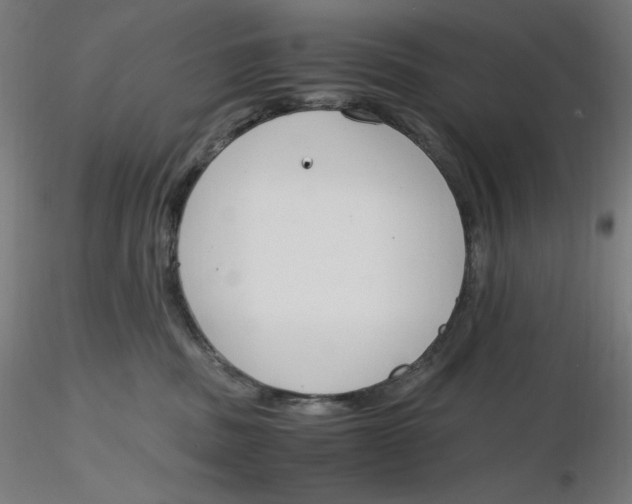 X0000116260379200912291501