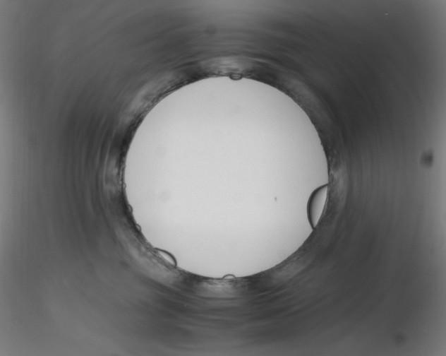 X0000116260381200912291501