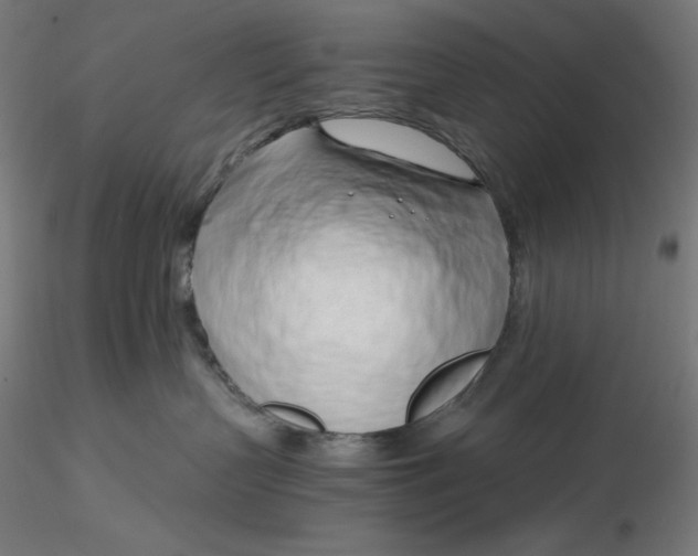 X0000116260383200912291501