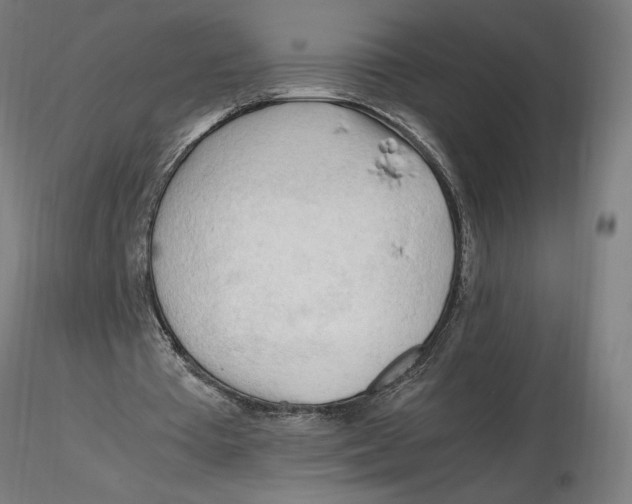 X0000116260385200912291501