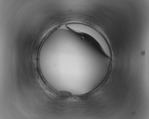 X0000116260386200912291501