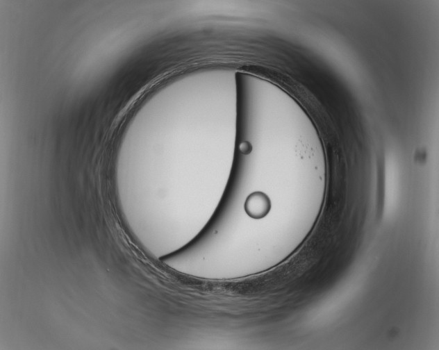 X0000116260387200912291501