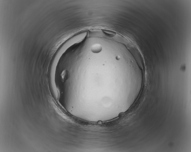 X0000116260389200912291501