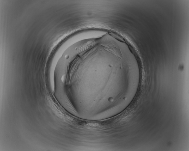 X0000116260391200912291501