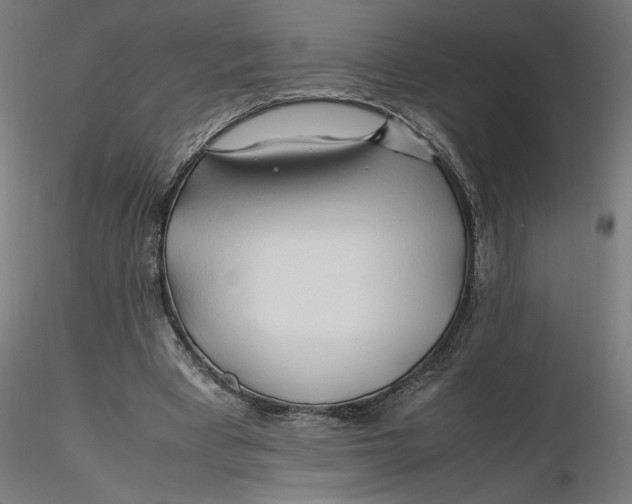 X0000116260393200912291501